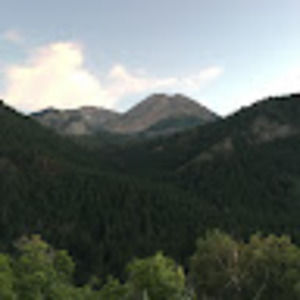 Meet your Posher, Brady